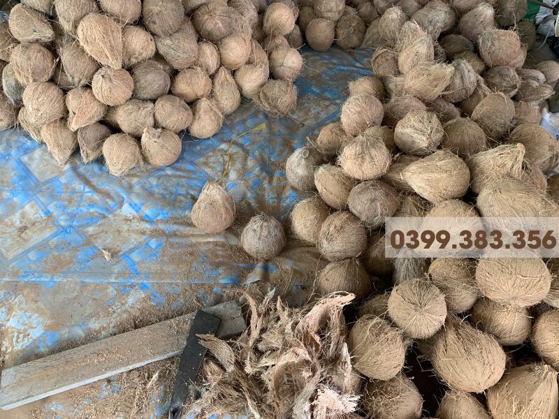 Nên lựa chọn dừa xiêm làm rượu dừa tại nhà