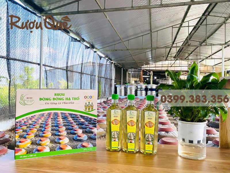 Hình ảnh giá đòng đòng bao nhiêu tiền 1kg rượu đòng đòng 500ml