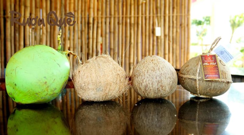 Cách làm rượu dừa ngon chuẩn vị truyền thống