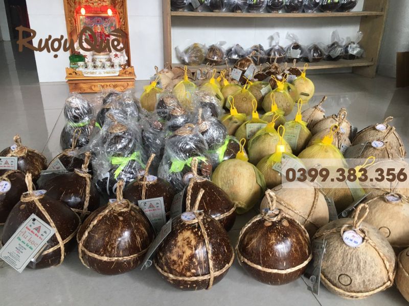 Lý do nhiều người tìm cách làm rượu dừa tại nhà