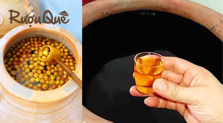 Hình ảnh mua rượu mơ ở đâu nguyên chất giá tốt