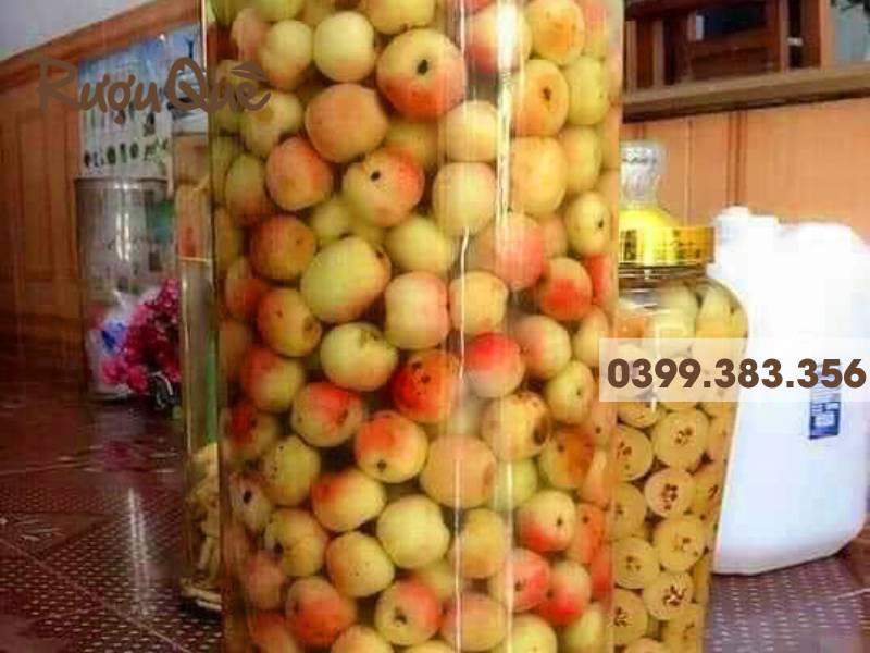 Hình ảnh mua rượu táo mèo ở đâu Hà Nội ngon