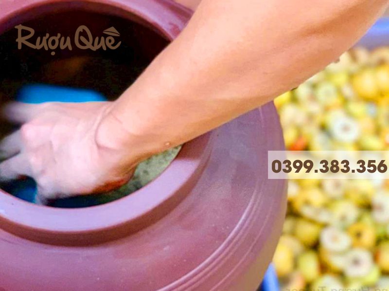 Hình ảnh ngâm rượu táo mèo lâu có tốt không