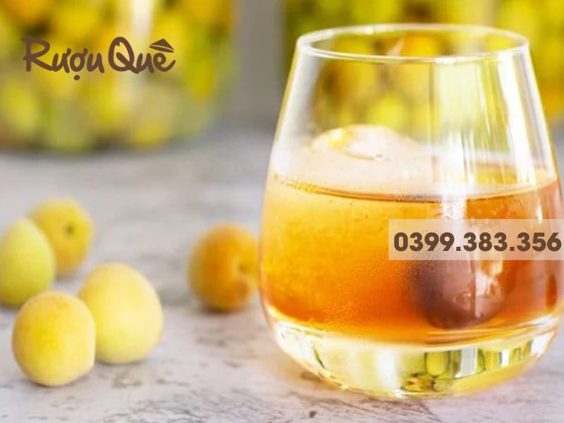 Nguồn gốc rượu mơ Yên Tử