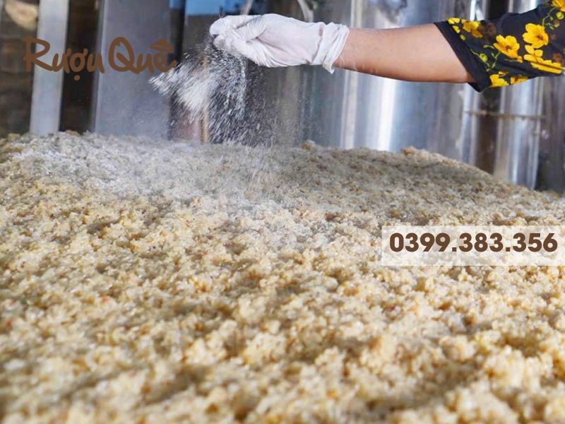 Hình ảnh rắc men ủ rượu 36 vị thuốc Bắc truyền thống