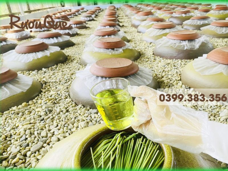 Hình ảnh rượu đòng đòng hạ thổ ủ chumg ngon thật chất