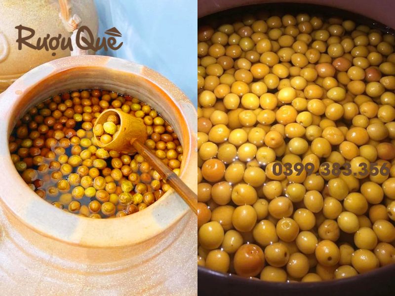 Hình ảnh rượu mơ Hà Nội mua ở đâu, tphcm mua ở đâu