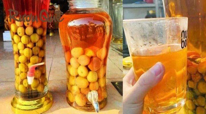 Hình ảnh các loại rượu mơ má đào được yêu thích nhất