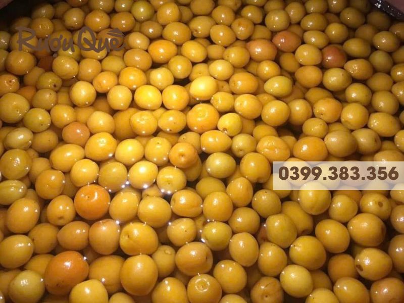 Hình ảnh rượu mơ ngâm thủ công truyền thống