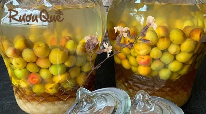 Rượu mơ Yên Tử