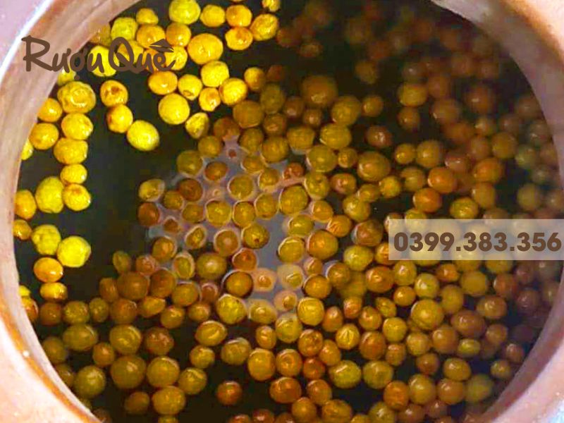 Rươu mơ Yên Tử thơm ngon đến giọt cuối cùng