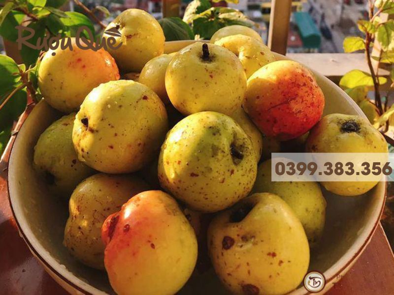 Quả táo mèo quyết định độ rượu
