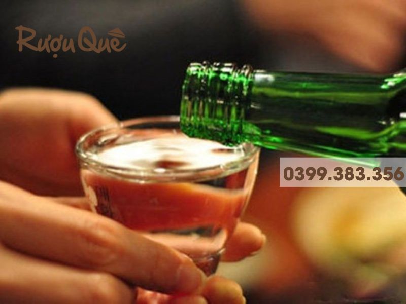 Hình ảnh rượu táo mèo có hại không? Đàn ông có nên uống rượu táo mèo không?