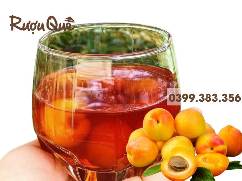 Hình ảnh bán rượu mơ má đào ngon ở Hà Nội tphcm
