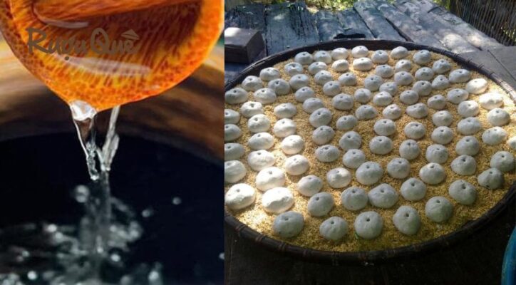 Rượu men lá Bằng Phúc giá bao nhiêu