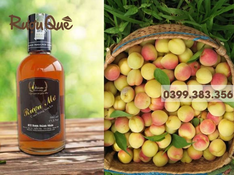 Độ rượu mơ má đào ảnh hưởng thế nào đến vị giác