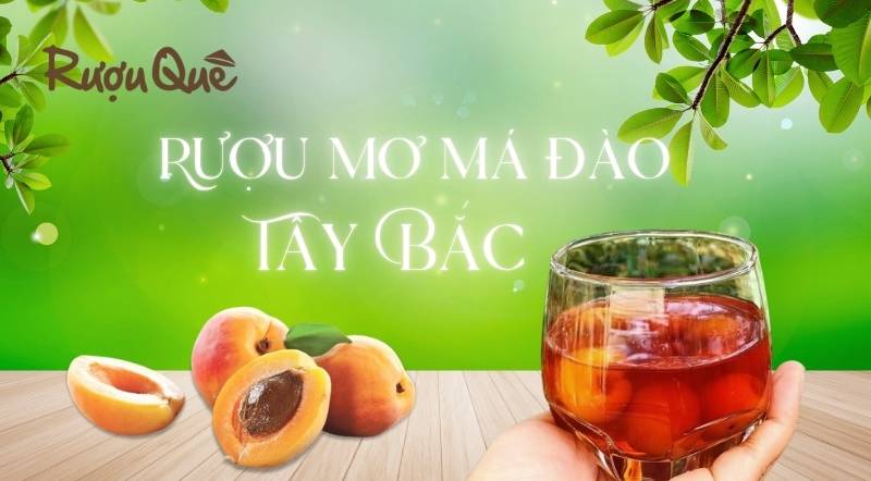 Hình ảnh rượu mơ má đào Tây Bắc là gì