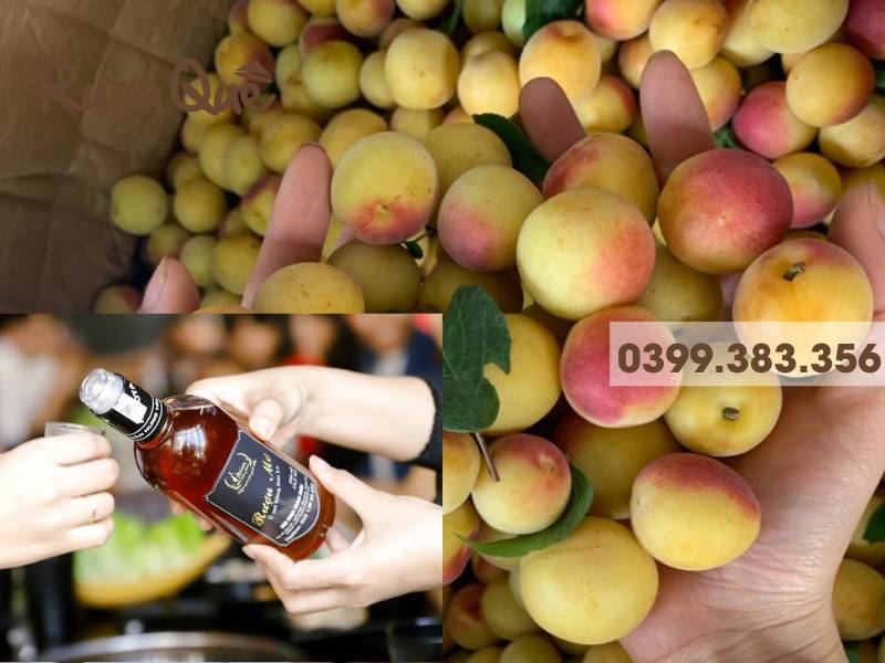 Hình ảnh rượu mơ má đào Tây Bắc nổi tiếng ở đâu