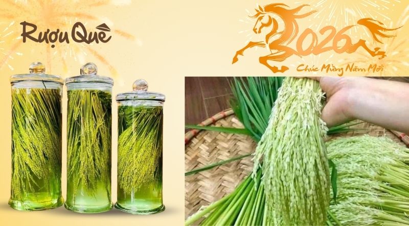 Hình ảnh mua rượu đòng đòng biếu Tết 2026 hạ thổ chuẩn gốc