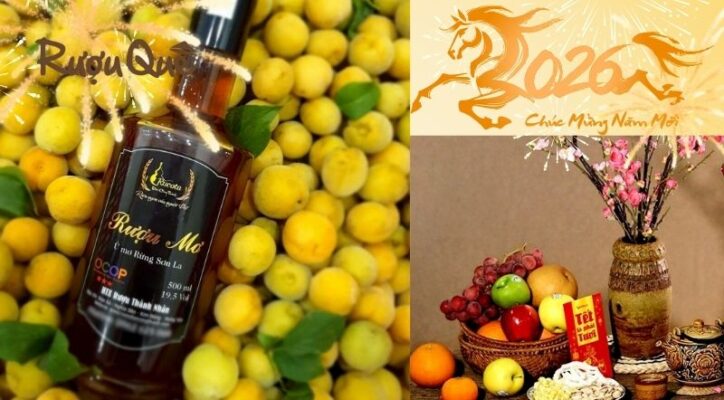 Hình ảnh rượu mơ biếu Tết 2026